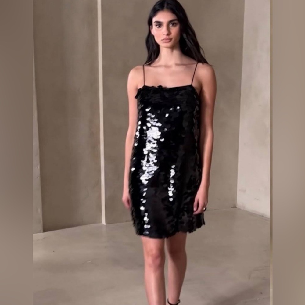 NWT Banana Republic Teia Sequin Pailette Mini Dress Petite Large